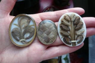 Three Victorian Prince Of Wales Feathers And Seed Pearls Mourning Plaques