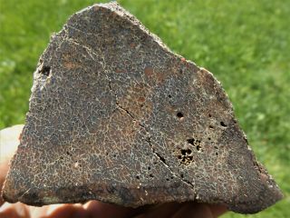 Dig - N - Utah: Dinosaur Bone Dino Fossil Gem I 738