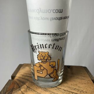 Princeton University Jersey Heavy Souvenir Shot Glass Vintage 3” Grade Level