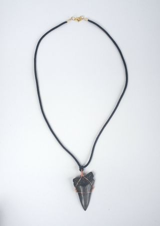 Megaladon Shark ' s Tooth Pendant Necklace - Hand Wrapped 2 1/2 