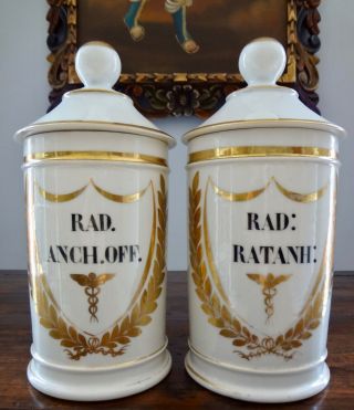 Pair Antique 19th Century Vignier French Porcelain Apothecary Drug Jars