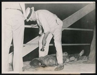 Rare 1937 Photo Civil Rights Racial Crime - Black Man Killed By Whites