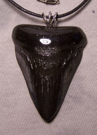 1 15/16 Megalodon Shark Tooth Teeth Wireless Pendant Fossil Necklace Jaw Scuba