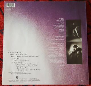 PETER CETERA World Falling Down & SCARCE 1992 Germany LP CHICAGO 2