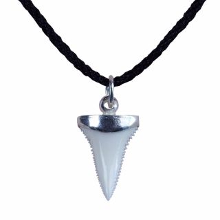 0.  8  Modern Great White Shark Tooth Necklace For Boy Silver Cap Gn20mm