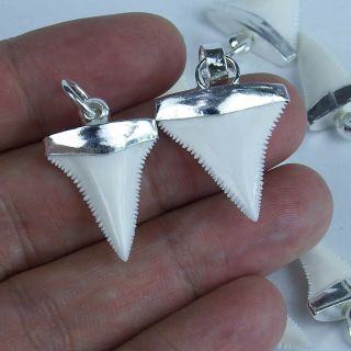 0.  8  Modern Great White Shark Tooth Necklace For Boy Silver Cap GN20MM 2
