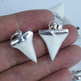 0.  8  Modern Great White Shark Tooth Necklace For Boy Silver Cap GN20MM 3