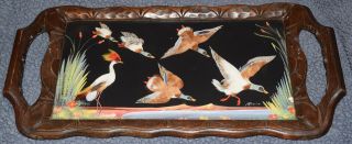 Cartimex Mexico Feather Art Mallard Duck Crane Serving Tray Carved Wood Glass