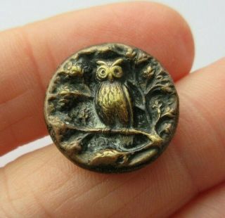 Fabulous Small Antique Vtg Victorian Metal Picture Button Owl Bird 3/4 " (k)