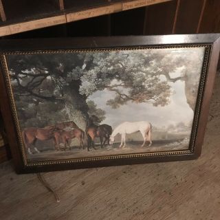 Vintage 10 " X 7 " Framed Picture Of Horses Grazing Under A Large Tree.