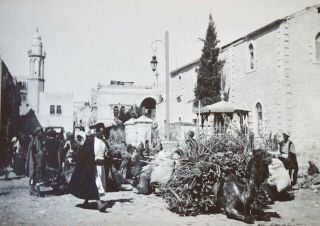 1900s Israel Antique Photo Street Market Scene In Bethlehem,  Camel Resting Orig.