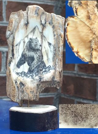 Vintage Hand Crafted Carved Etched Bear Scrimshaw Petrified Mini Sculpture