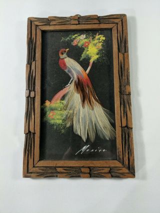 Vintage Mexican Feathercraft Folk Art Framed Bird Picture Carved Cedar Cartimex