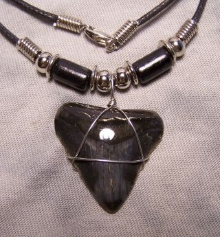 Megalodon Shark Tooth Necklace 1 1/4 Fossil Teeth Fishing Scuba Dive Jewel