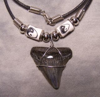 1 1/8 " Megalodon Shark Tooth Teeth Fossil Necklacel Jaw Fishing Awesome