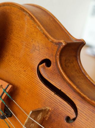 Very Old Labelled Vintage Violin " Gajetanus Sgarabotto " Fiddle 小提琴 скрипка Geige
