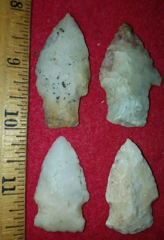 Group Of 4 Arrowheads From Calhoun Co.  Ill.  Native American Indian Artifact R8