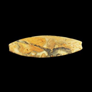 Ancient Bactrian Oval Stone Bead
