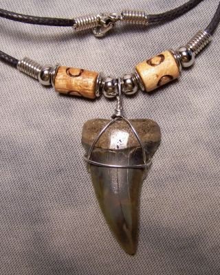 Mako Shark Tooth Necklace 1 7/16 " Fossil Teeth Jaw Megalodon Scuba Dive Color
