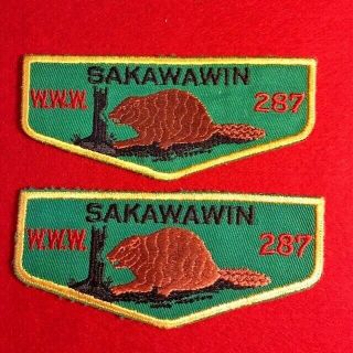 Boy Scout Oa 287 Sakawawin F1 Varieties