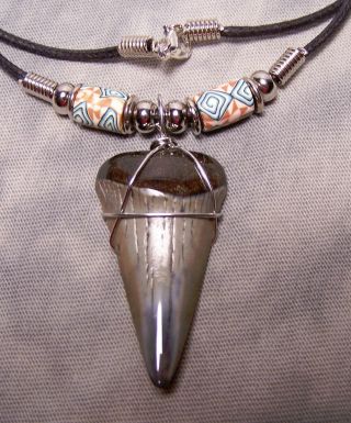 Mako Shark Tooth Necklace 1 9/16 " Big Fossil Jaw Fishing Scuba Megalodon Cousin
