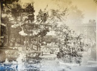 1912 Israel Antique Album Photo Garden Of Gethsemane B & W Photo