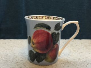 Queens Hookers Fruit Fine Bone China Mug 8 Oz Royal Horticultural Society Apples