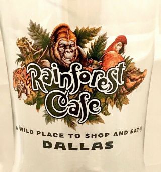 Rainforest Cafe Glass Dallas Texas Hurricane Wild Place To Shop And Eat