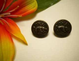 2 Antique Wild Boar Metal Hunting Picture Buttons Paris Back
