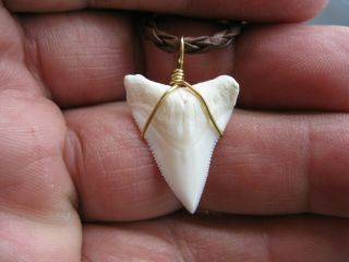 SHARK TOOTH NECKLACE,  1 