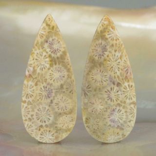 Natural Agatized Fossil Coral Drop Cabochon Earring Pair Indonesia 2.  56 G