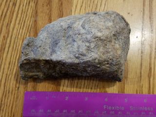 Dinosaur Fossil Bone Fragment Morrison Formation Jurassic Utah Usa 2lbs