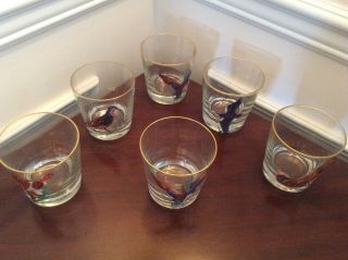 Vintage Scotch Mixed Drink Glasses With Hand Painted Birds Gold Rimmed Set Of 6