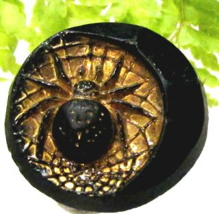 Wonderful Victorian Black & Gold Luster Glass Button W/ Black Widow Spider E23