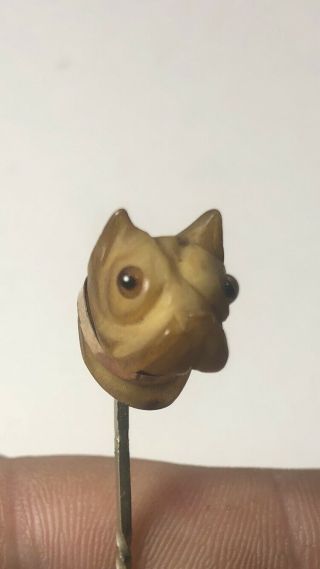 Antique Bull Dog Stick Pin Carved Figural Terrier Pit Glass Eyes Hat Collar Gift 2