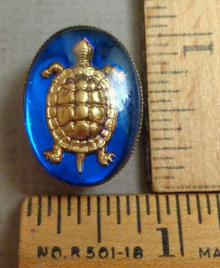Turtle Antique Button,  1800s Brass Under Glass W/ Changing Color,  Set In Metal