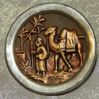 Antique Picture Button Brass & White Metal Camel & Man Xtra Lrge 429 - B