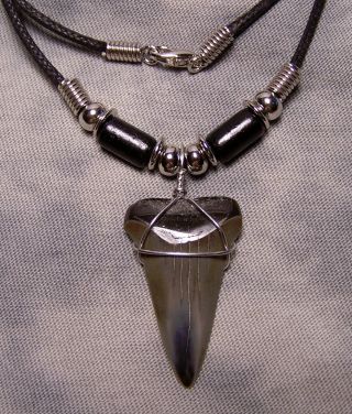 Mako Shark Tooth Necklace 1 3/8 " Fossil Teeth Jaw Megalodon Scuba Dive Color