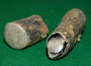 2 Cut & Polished Petrified Wood Limb Castings Collected From Wyoming,  America