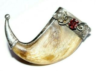 Antique Victorian Indian Raj Tigers Claw Brooch / Pin With Gemstone.  Garnet?