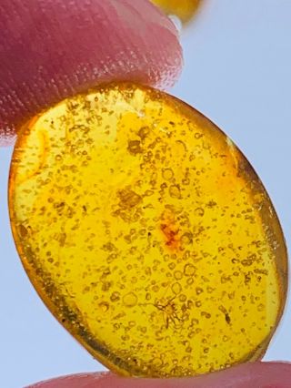 1.  3g Spider&many Bubbles Burmite Myanmar Burma Amber Insect Fossil Dinosaur Age