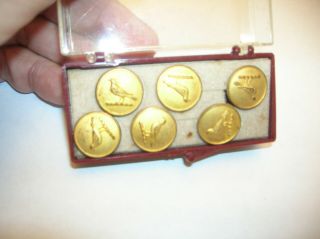 6 Antique Brass Or Other Metal Bird Buttons In Old Case.