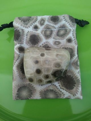 Polished Petoskey Stone Michigan Fossil Coral Hexagonaria 2 " With Gift Bag