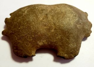 Fossil Muffin Crab Avitelmessus Grapsoideus Rathbun Cretaceous Dallas Co Alabama