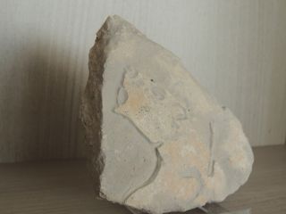 Antique Stone Fragment With Ancient Graffiti