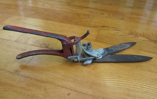 Vintage Grass Clippers Shears Chipped Red Paint Rust Garden Tool Display