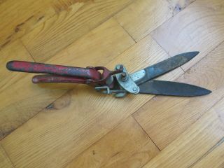 Vintage Grass Clippers Shears Chipped Red Paint Rust Garden Tool Display 3