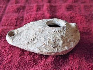 Shipwreck Find Biblical Oil Lamp Ancient Roman Jerusalem Holy Land Pottery