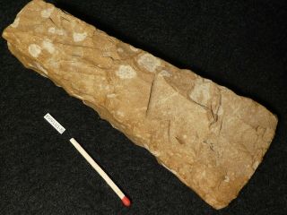 4800y.  O: Wonderful Ax 138mms Danish Stone Age Neolithic Single Grave Flint Silex