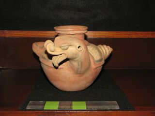 Pre Columbian,  Pottery,  Costa Rican,  Rattle Snake Vessel,  Lc,  900 1350